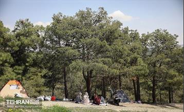 روز طبیعت در پارک جنگلی لویزان 28