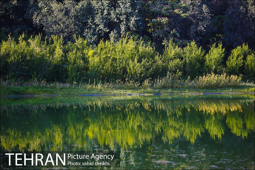 باغ گیاه شناسی ملی ایران  27