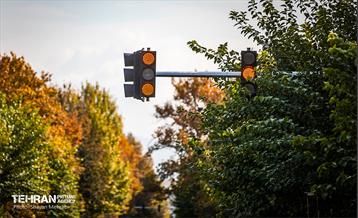 سمفونی رنگ های پاییزی  1