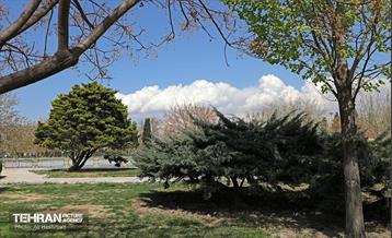 بهار در منطقه 18 26