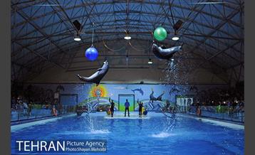 دلفیناریوم برج میلاد 24