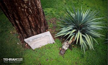 خانه مقدم 66