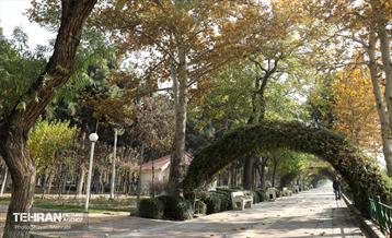 اینجا کارگاهه؛ منطقه پانزده 37