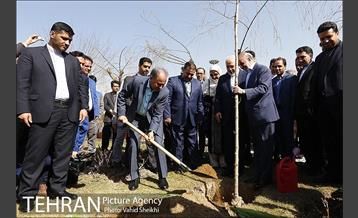 آیین کاشت درخت صلح و دوستی 33