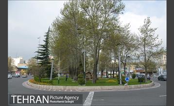 به بهانه روز شمیران 26