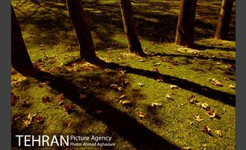 کاخ سعدآباد تهران 15