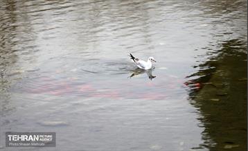 اینجاکارگاهه؛ منطقه نوزده 32