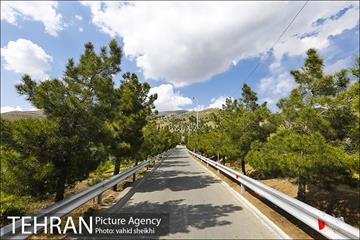 بوستان جنگلی کوهسار 19