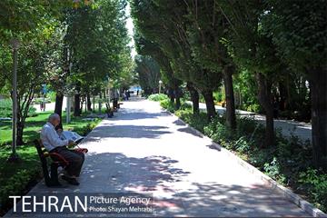 بوستان تمدن (گلبرگ) 15