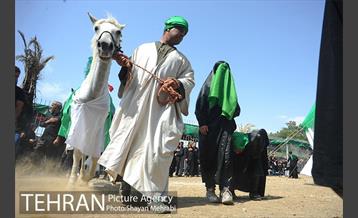 تعزیه ظهر عاشورا در حسینه نهاوندیان 14