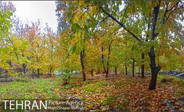 طبیعت پاییزی روستای سنگان 72