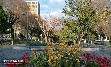 استقبال از بهار - 5 12