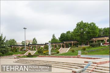 بوستان پلیس 37
