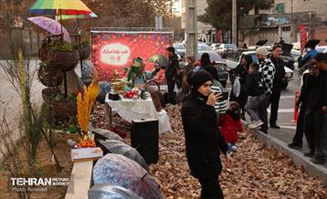 یلدا در قاب کیانشهر 16