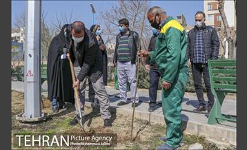 جشن نهال هاى کوچک شهر و تخم مرغ هاى رنگى در منطقه ٩
