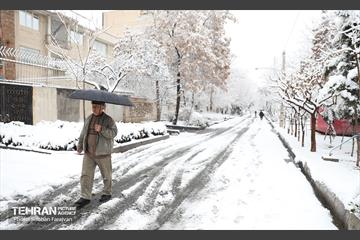 صبح آدینه برفی  34