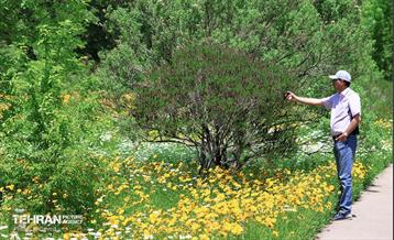 طبیعت بهاری در باغ ملی گیاهشناسی ایران 21