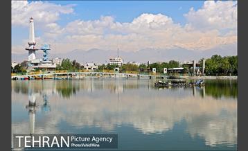 حضور پرندگان مهاجر در تهران 6