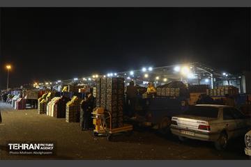 تره‌بار یلدایی 84