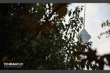 طبیعت پاییزی باغ راه فدک تهران 30