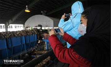 تور بازدید عکاسان از مجتمع آرادکوه 7