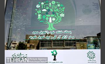 طرح گلماند در منطقه 18