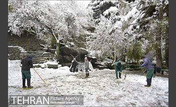 طبیعت برفی شمال تهران 13