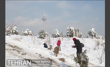 جشنواره مجسمه های برفی 15