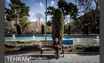 پارک شهر بعد از یک صبح بارانی 12