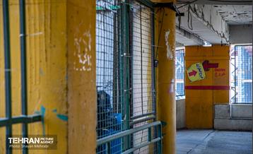 جای خالی پروانه ها 16