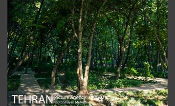 بوستان باغ ایرانی 3