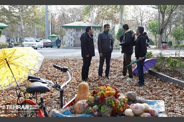 گردهمایی خانواده شهرداری منطقه ۱۶ در بوستان بعثت 43