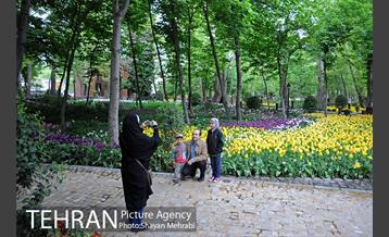 باغ ایراتی (بوستان مهندس مختاری) 27