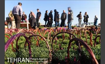 بازار گل شهید محلاتی در آستانه نوروز 2