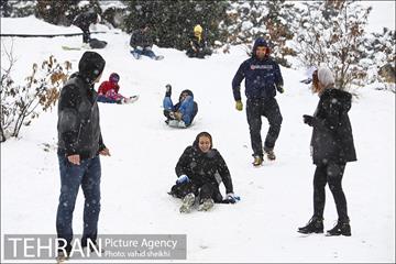 تفریحات برفی در پارک پردیسان تهران 14