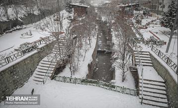 بارش برف زمستانی در شمیران  13