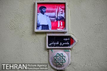 کوچه رنگی قدیانی 14