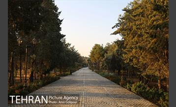 باغ راز هستی 3