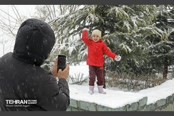 بارش برف زمستانی در منطقه ۲ 18