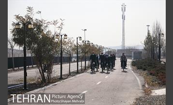 پویش سه شنبه های بدون خودرو 14