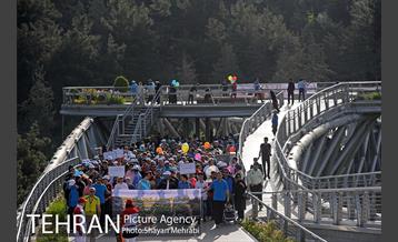 همایش پیاده روی خانوادگی کارکنان شهرداری 12