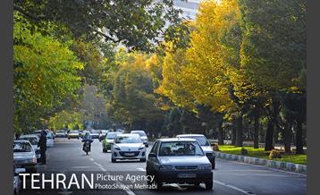 طبیعت پاییزی بلوار کشاورز 15