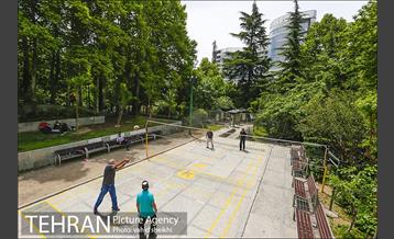 بوستان نیاوران 12