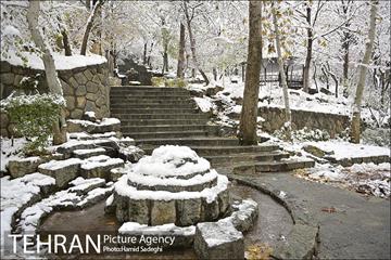طبیعت برفی شمال تهران 12