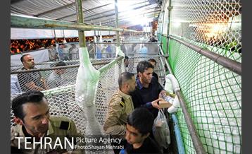 شهرداری تهران در سی امین سالگرد ارتحال امام خمینی (ره) 40