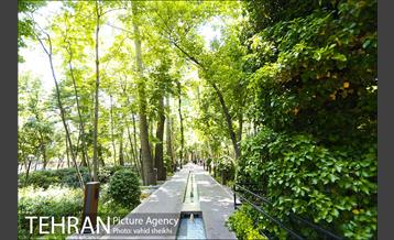 باغ ایرانی 4