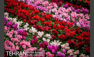 هفدهمین نمایشگاه بین‌المللی گل و گیاه 28