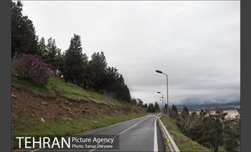 تعطیلی بوستان جنگلی سرخه حصار به منظور پیشگیری از شیوع ویروس کرونا 7