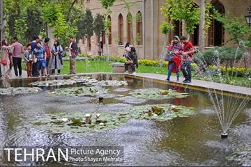 باغ نگارستان 6