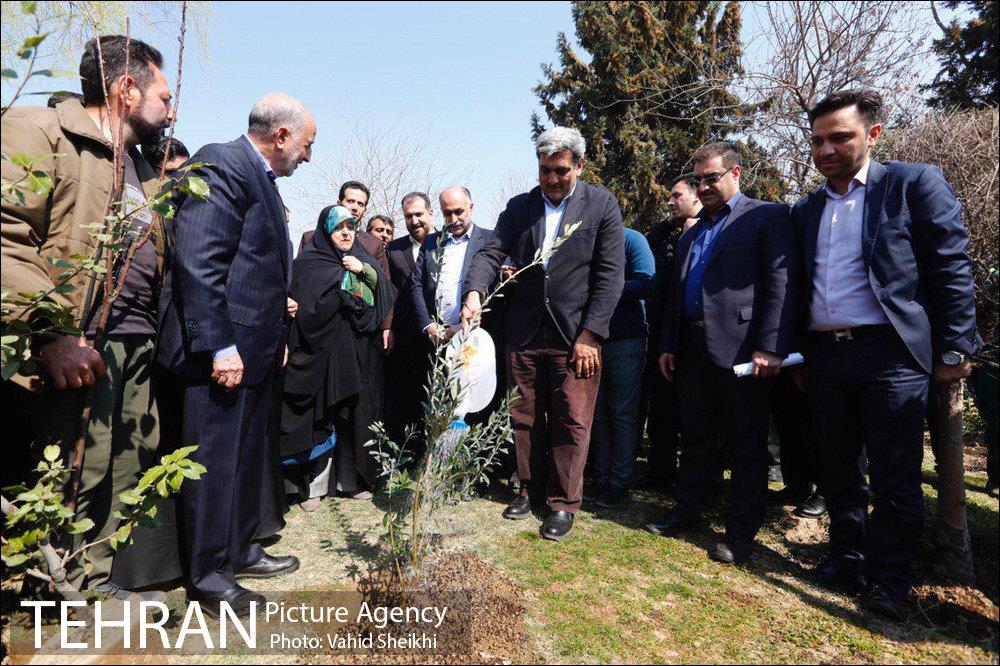 آیین کاشت درخت مادر 35